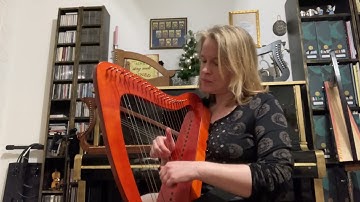 How does this harp sound? Happy Harp by Daniel Zurlinden