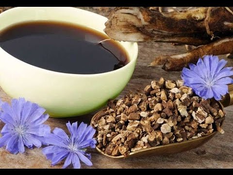 Цикорий - польза для здоровья человека. HD