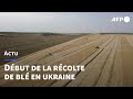 Ukraine Début De La Récolte Du Blé Dans Le Sud Du Pays AFP 