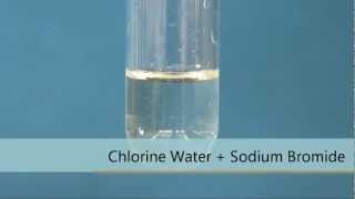 Chlorine Water + Sodium Bromide