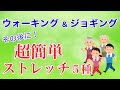 ウォーキングやジョギング後にオススメのストレッチ5種