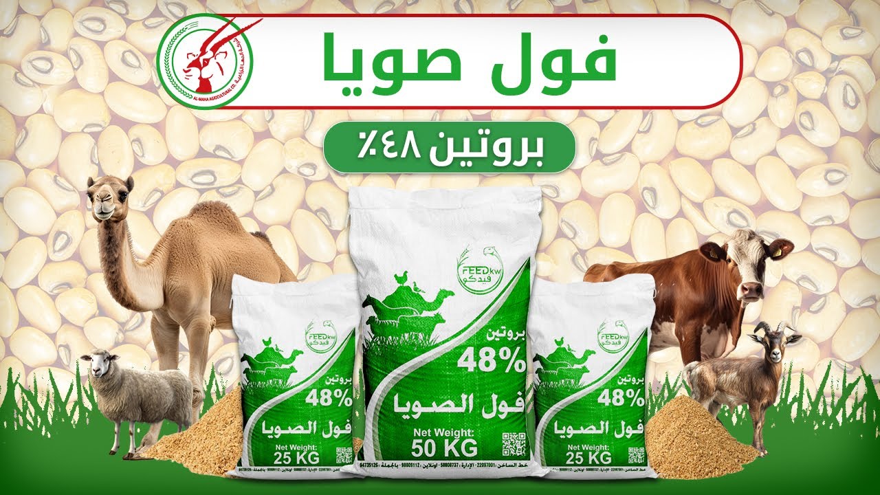 علف فول الصويا للمواشي - 48% بروتين