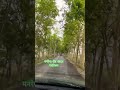 MGNREGA Road Side Plantation 🌱 | Green Village Mission in India 🇮🇳#MGNREGA #Plantation #RoadSide
