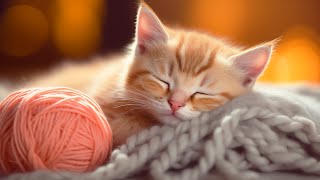 Calming Music for Anxious Cats  Cat Music for Deep Relaxation and Sleep, Music For Cats