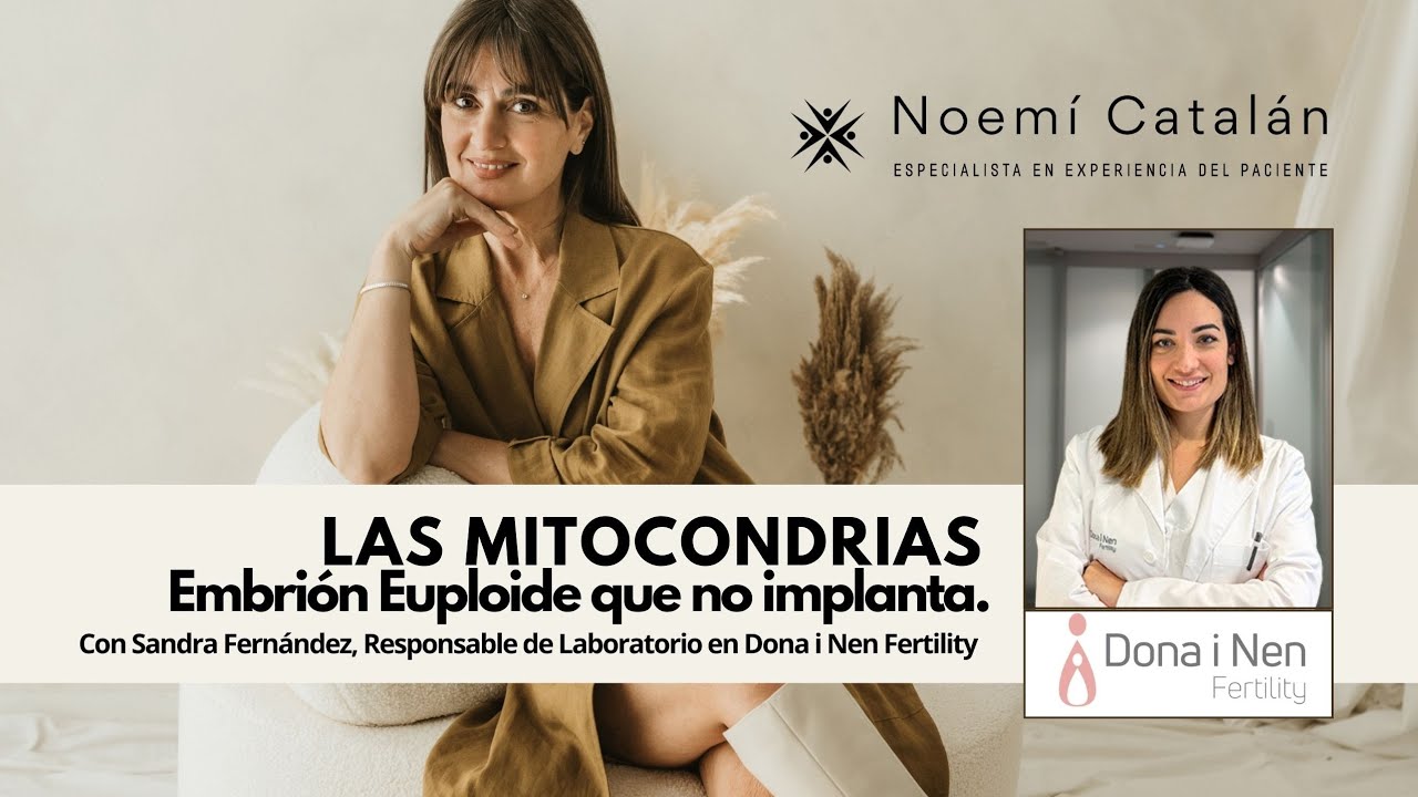 Embrión euploide que no implanta: las Mitocondrias.