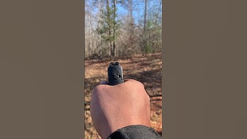 M&P Shield 2.0 (.40 caliber)