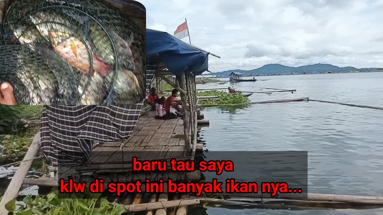 Mancing jatiluhur rekomendasi spot aman ketika musim angin ombak badai.. Serangan ikan nya mantap...