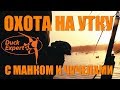 Охота на утку с манком и чучелами. Утиные приключения! Осень 2019