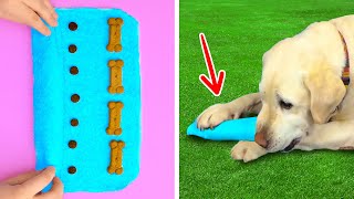 Genius Hacks And Gadgets For PET Owners