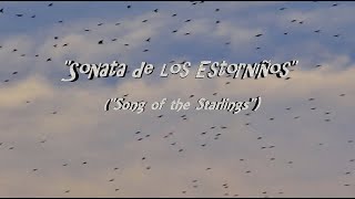 "Sonata de los Estorninos" (Song of the Starlings) Murmuration During Sunset In Spain Set To Guitar