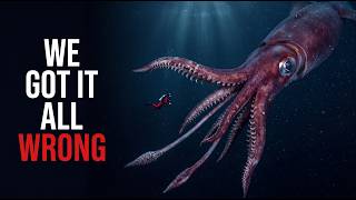 Everything We Thought About the Colossal Squid Was Wrong