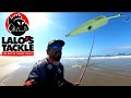 PESCA DE PLAYA CON SUPERFICIALES  // Playa virgen