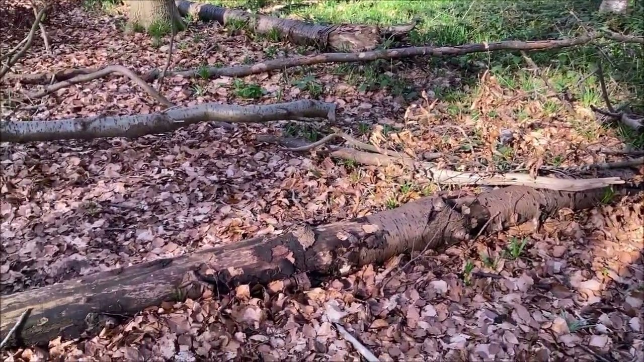 A Man Enthralled By Nature - In Loving Memory - Davis James Scott 1954 - 2006 - Woodland Trust UK