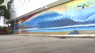 Artist Hilton Alves - Murals