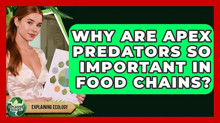 Why Are Apex Predators So Important In Food Chains? - Explaining Ecology