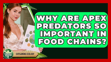 Why Are Apex Predators So Important In Food Chains? - Explaining Ecology