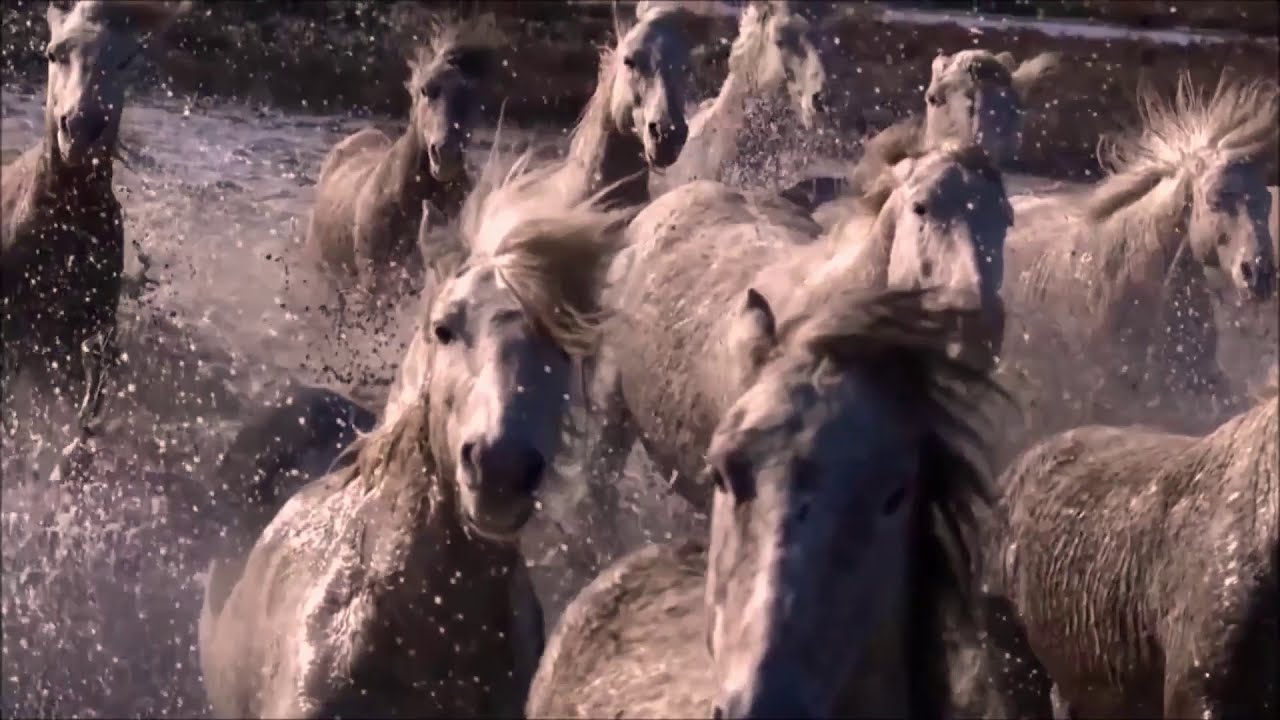 Silvio Rodríguez  - Pieza de guitarra (Chacarera Barroca - Inédita Instrumental)