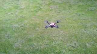 NanoQuad V2 outside flight