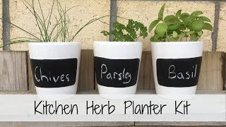Will It Grow? Kitchen Herb Planter Kit