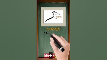 What is a Curve in Math? | Quick Guide for Young Learners!