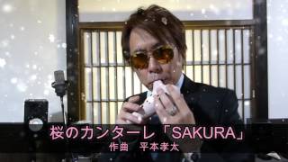SAKURA 桜のカンターレ - YouTube