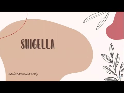 Vídeo: Què és l'espècie de shigella?