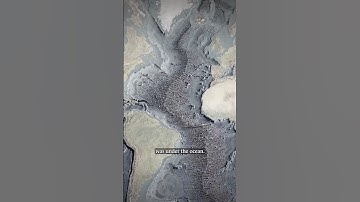 The secret on the sea floor