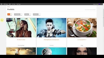 MetroStyle WordPress Theme - Tutorial - Setting up the Portfolio