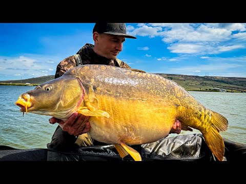 Видео: РЕКОРДНЫЙ КАРП , КОТОРЫХ ВЫ НЕ ВИДЕЛИ . КАК ЛОВИТЬ КРУПНЫХ КАРПОВ ! Черный Амур . Рыбалка 2024