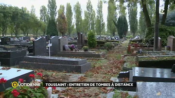 Quelles fleurs mettre au cimetière en hiver ?