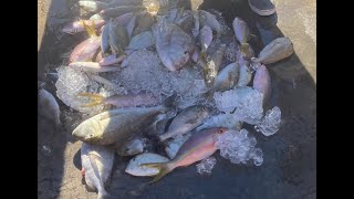 Florida Fishing Miss Islamorada Florida Keys Bud Mary's 2