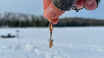 Trophy Backwoods Panfish Mission!!