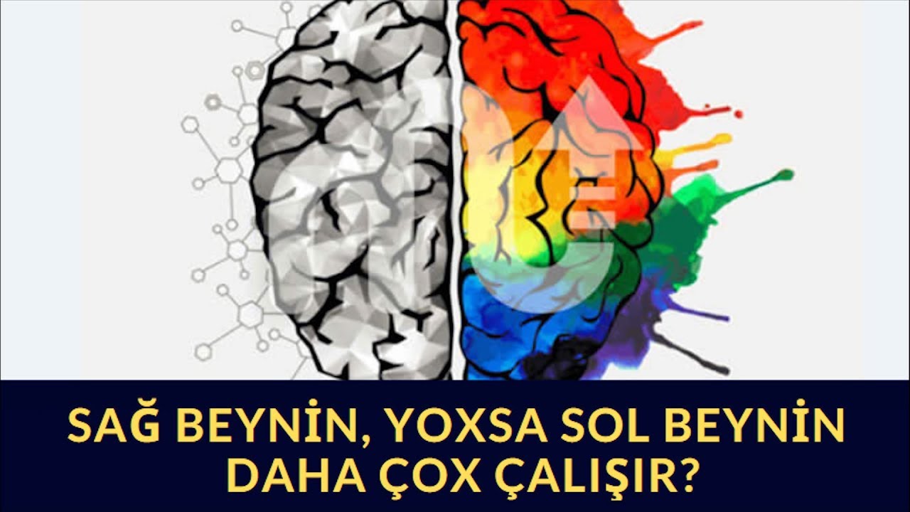 Sağ beynin, yoxsa sol beynin daha çox çalışır? TEST EDİN YouTube Sağ beynin, yoxsa sol beynin daha çox çalışır? TEST EDİN YouTube
