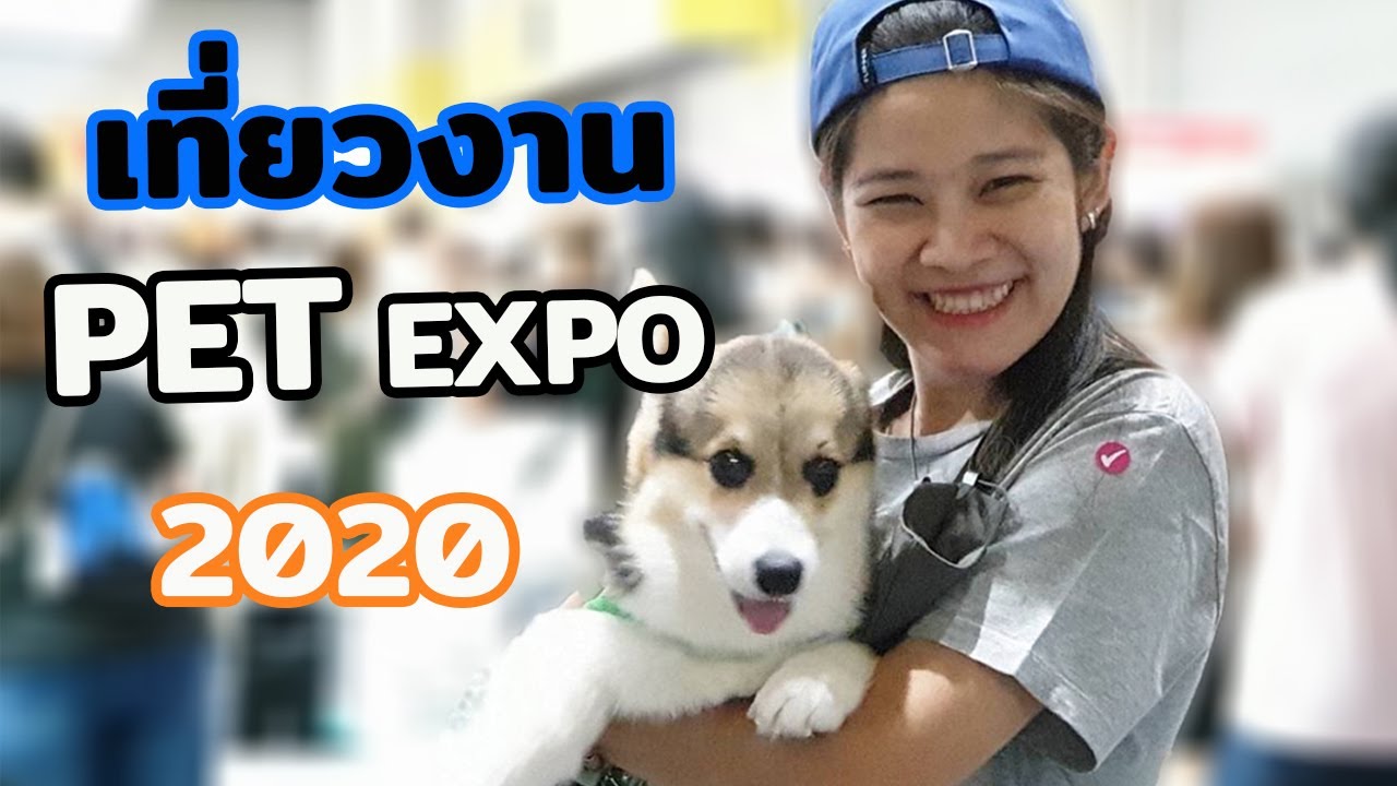 พาเที่ยวงาน Pet Expo Thailand 2020 เจอสัตว์Exoticเยอะเลย