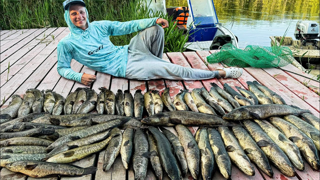 Нашли ЛОГОВО СТРАШНЫХ РЫБ! Рыбалка на ЗМЕЕГОЛОВА! ЗРЕЛИЩНЫЕ АТАКИ НА ЛЯГУШЕК и СЪЕМКА С ДРОНА!