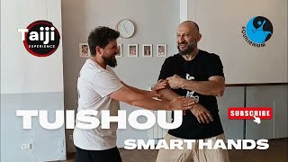 Taiji tuishou, smart hands