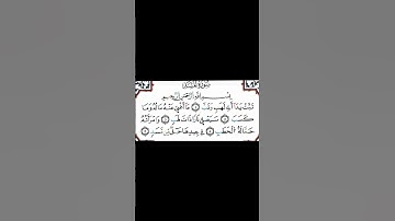 سورة المسد بصوت القارئ سعد الغامدي #قرآن #سعد_الغامدي