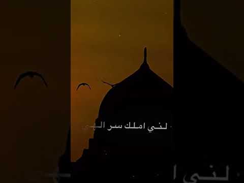 مطمئن گلبي ولا خايف من الشدد ابد تصميم حسيني تصميم الامام علي تصميم حسيني تصاميم شيعية