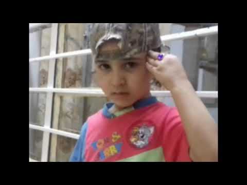 أركان العبيدي 