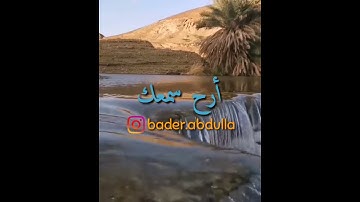 سورة الهمزة   سعيد الخطيب