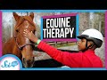 Equine Therapy Quiz