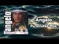 Angelo  pure tutae moa official visualizer