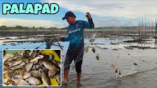 PALAPAD Mixed Seafood Catch & Cook | IMPERANZA VLOG175