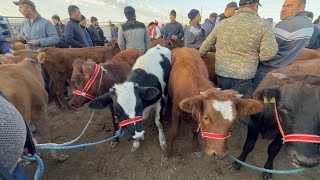 видео: ХОРАЗМ УРГАНЧ ГАЙБУ МОЛ БОЗОРИ ЁШ ГУНОЖИНЛАР ЗОРЛАРИ НАРХЛАР АРЗОНЛАДИ КЕСКИН 13-октябрь 2025 г.. картинка: ХОРАЗМ УРГАНЧ ГАЙБУ МОЛ БОЗОРИ ЁШ ГУНОЖИНЛАР ЗОРЛАРИ НАРХЛАР АРЗОНЛАДИ КЕСКИН 13-октябрь 2025 г..