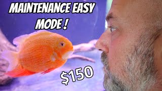 Easiest Water Changes EVER! Maintain Your Aquarium Without Touching The Water!