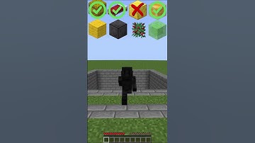 MINECRAFT: WHICH BLOCK BREAKS PHYSICS? 😍 (AXEL F) #minecraft #shorts