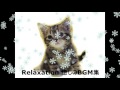「悲しみは雪のように」　浜田省吾 MusicBox