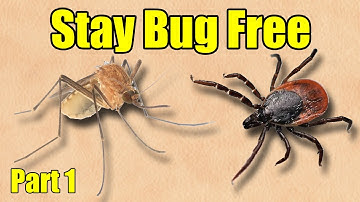 Stay Bug Free – Part 1 - The Best Defense Against Mosquitoes, Ticks, No See Ums, Flies, Spiders, Etc