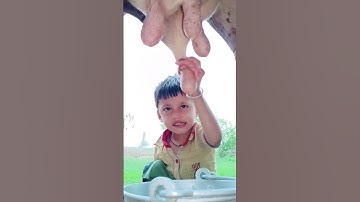 Thumbnail of choti choti gaiya dtruty fhf #love #song #funny