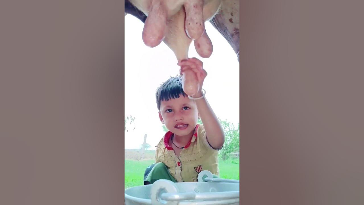 choti choti gaiya dtruty fhf #love #song #funny